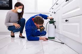 Best Pest Control for Multi-Family Homes  in Redfield, SD